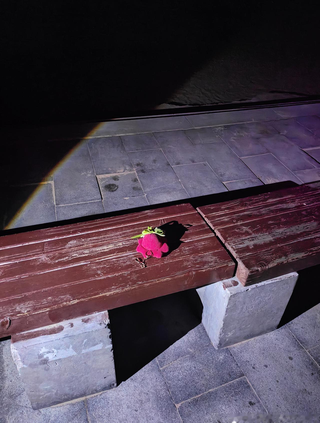 呜呜呜，失而复得，我要感动哭了
我的小莱阳以后再也不把你从背包上取下来了，
一开