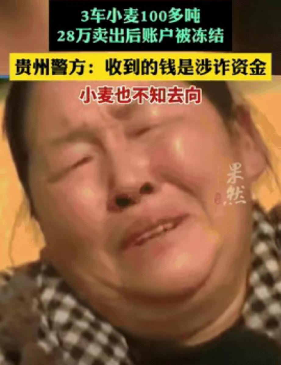 “天呐！卖个粮食咋就遇上这种糟心事！”

河南新乡这对母子，辛辛苦苦种了3车共1