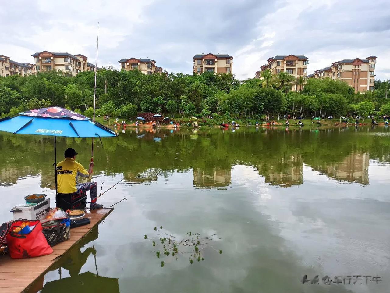 #想去版纳买套房子养老,给个建议?#西双版纳，是冬季旅游度假养老群体的最佳去处，