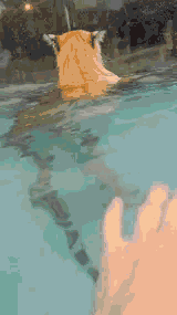 你好！
卧槽吓死我了