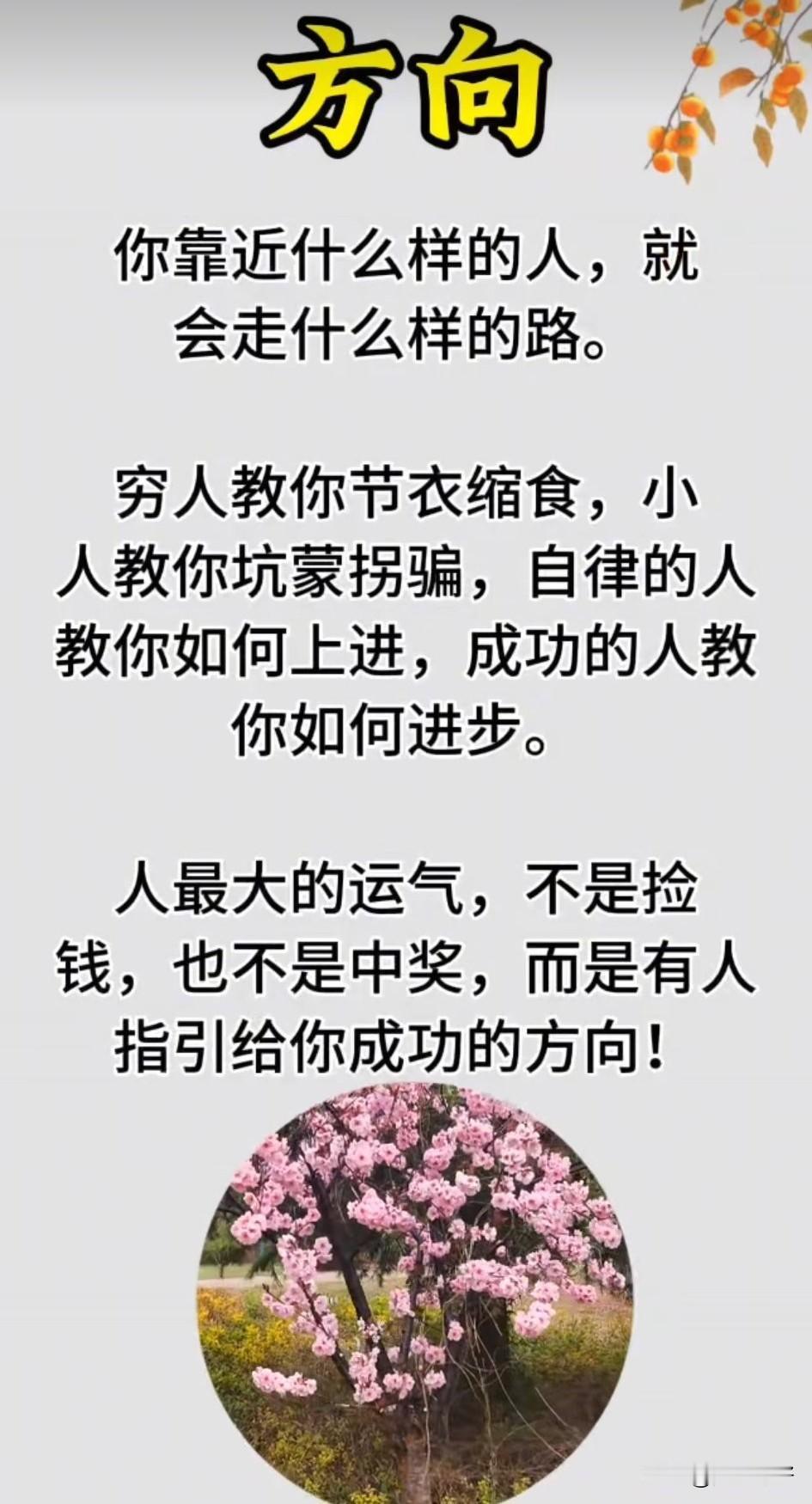 读万卷书不如行万里路，行万里路不如阅人无数，阅人无数不如贵人引路。限制你发展的往