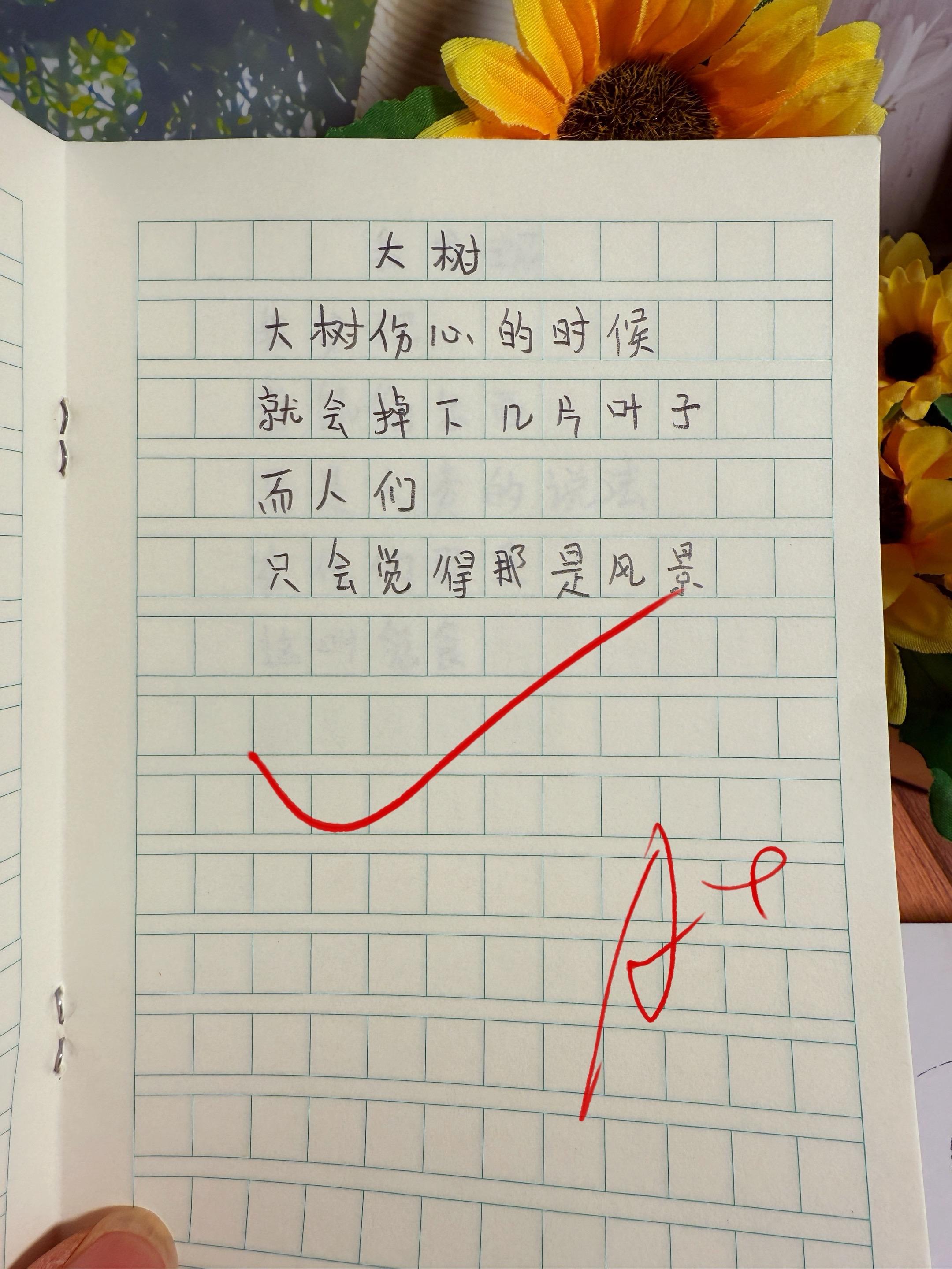 献给孩子的童诗集🔥。以温柔的诗句，轻抚心房～用奇幻的图画，唤醒星光！...