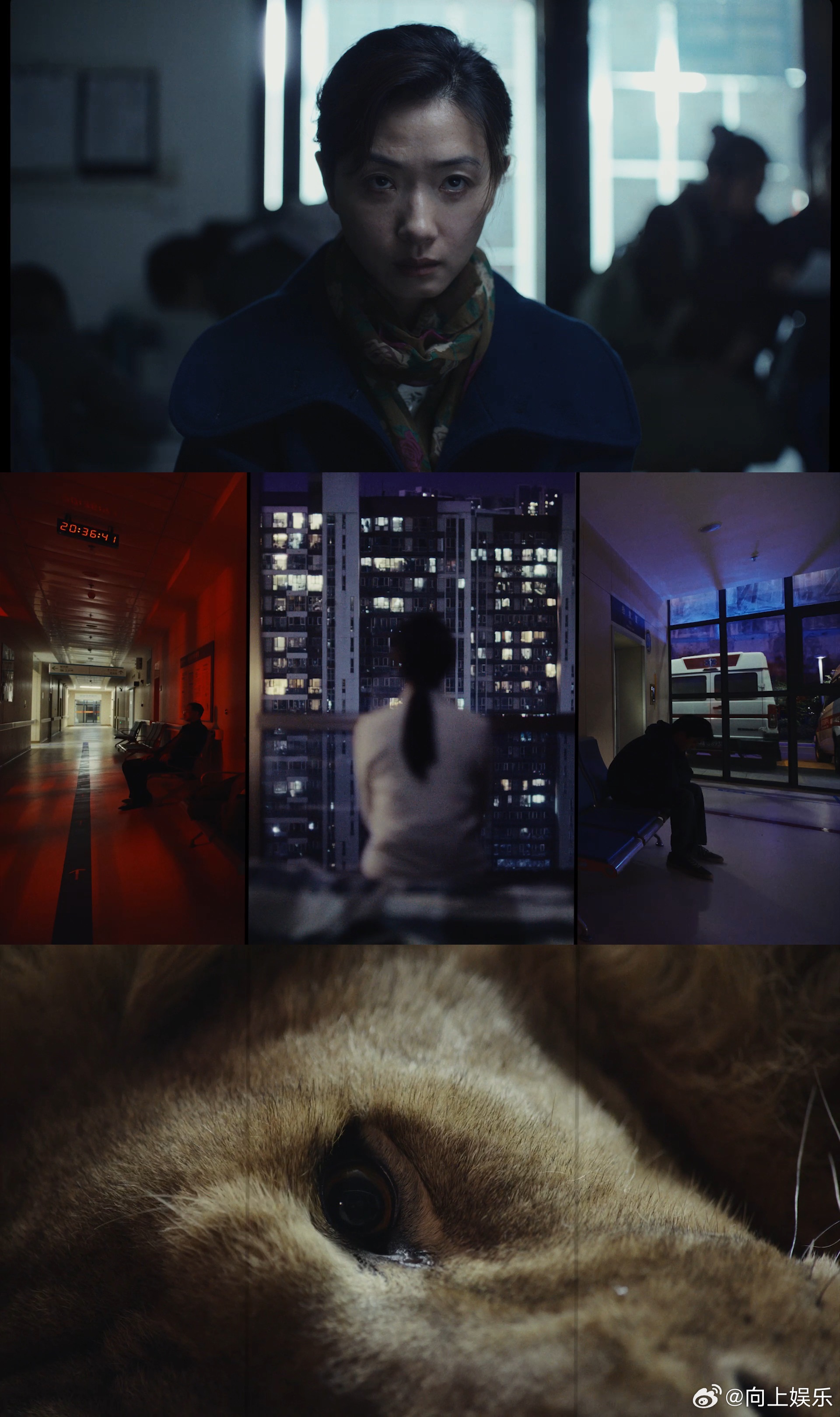 第一部全国产电影有多绝全国产电影争气争气再争气全国产电影！《长夜将尽》上线，该电