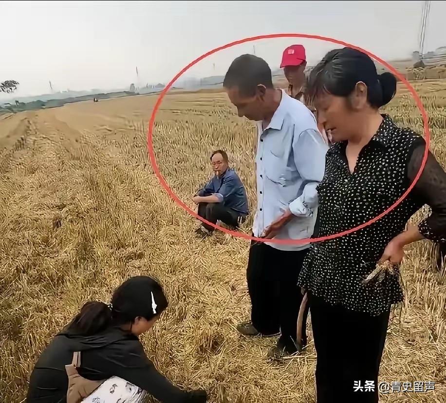 作为湖北人，说句公道话，那户人家你们自己心里好好掂量掂量。

5月中下旬襄阳53