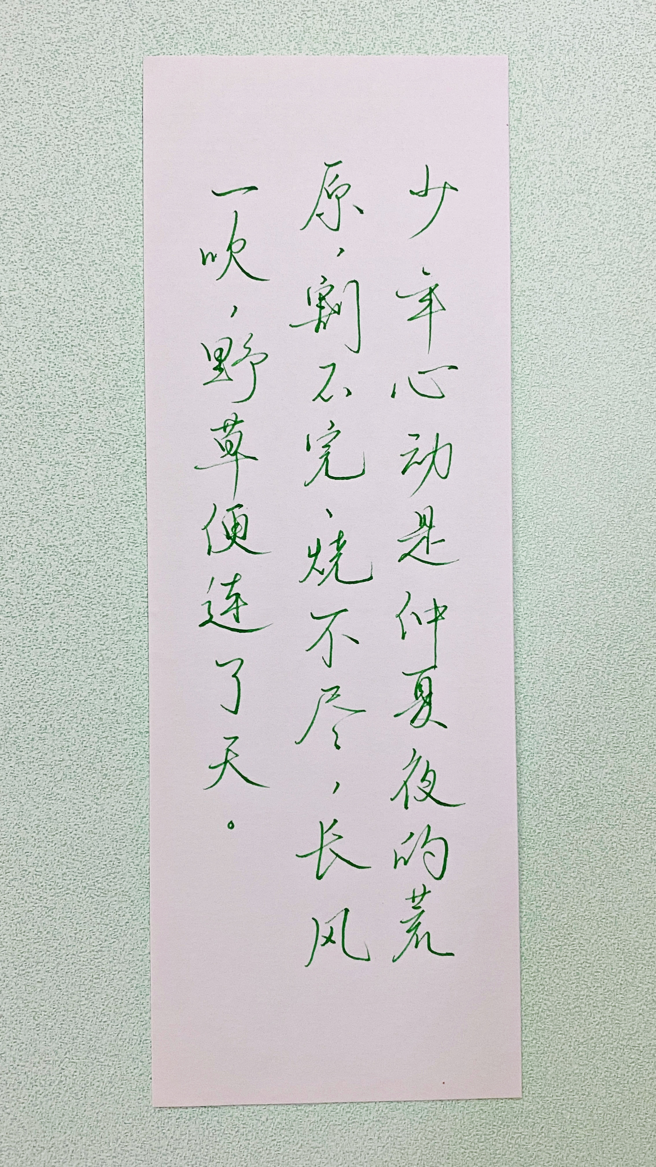 今日作业（2026.9.11）少年心动是仲夏夜的荒原，割不完、烧不尽，长风一吹，