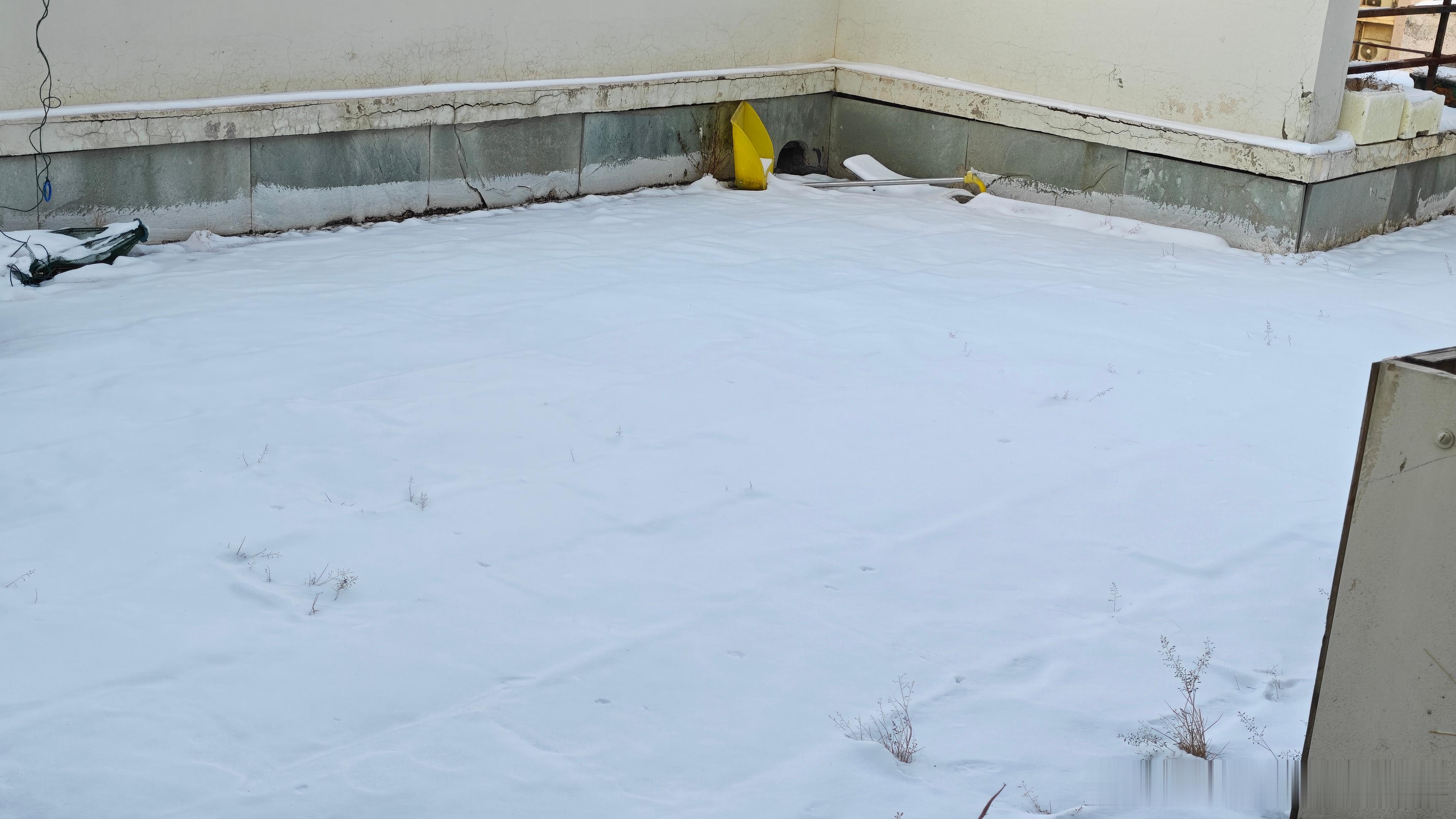 有个室外私人空间的好处是能有一片属于自己的完全无脚印的雪地。但是在北京这种时候比