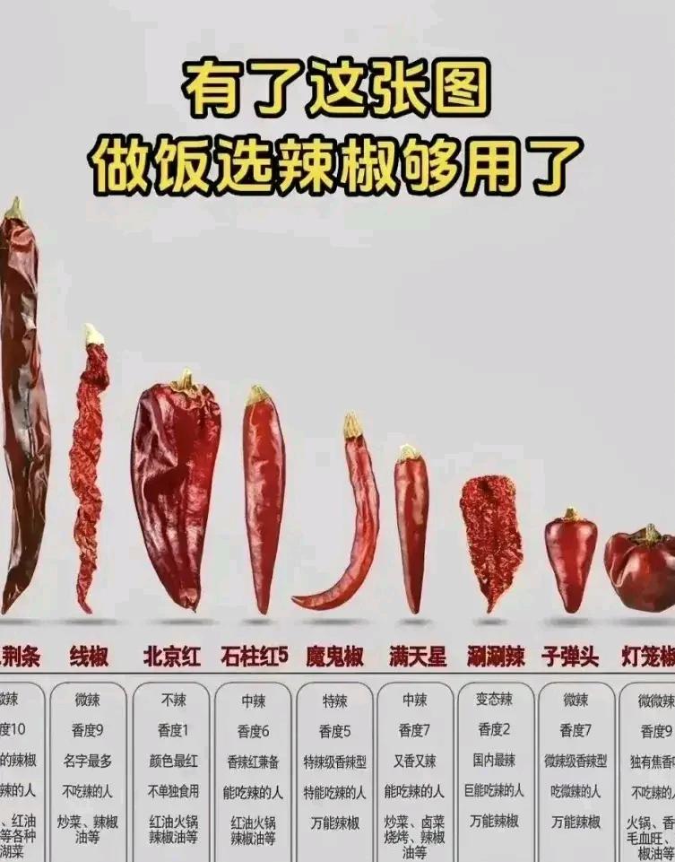 最不理解那些特别爱吃辣的人，大量的辣椒吃进去还能尝到其他味道吗？不全是辣味吗？

