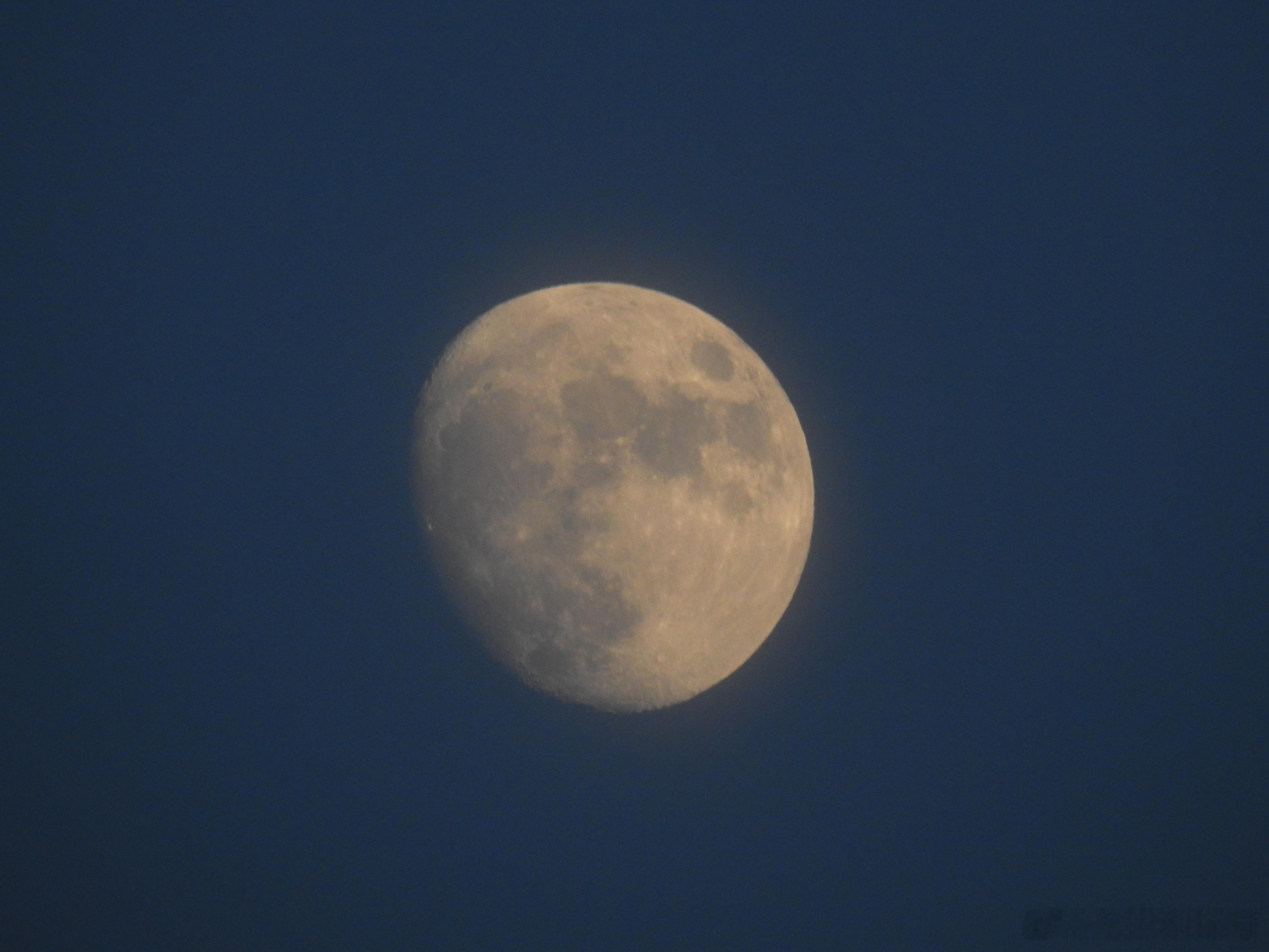 今天的月亮🌔 