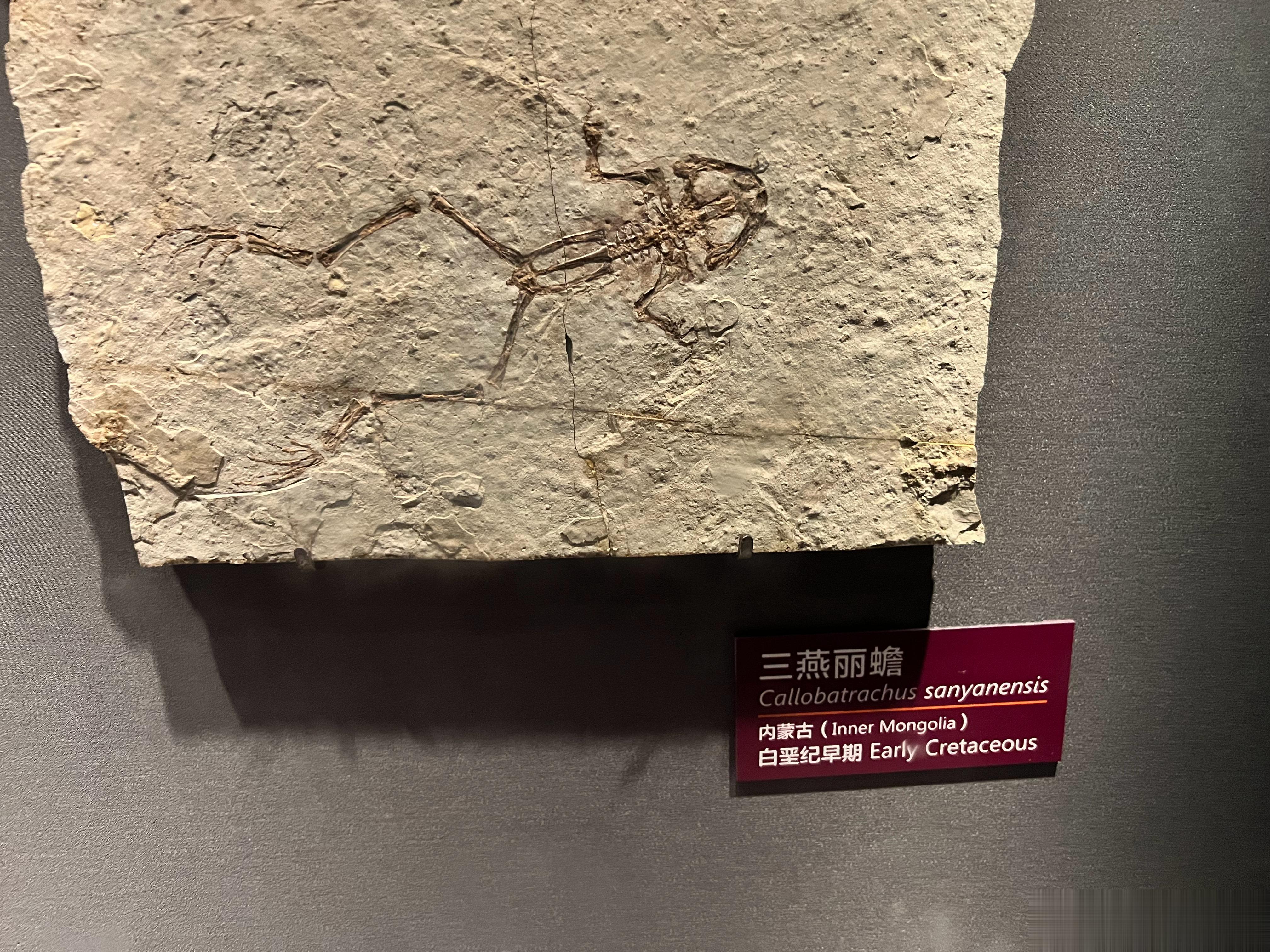 一些真的很年长的……  ​​​