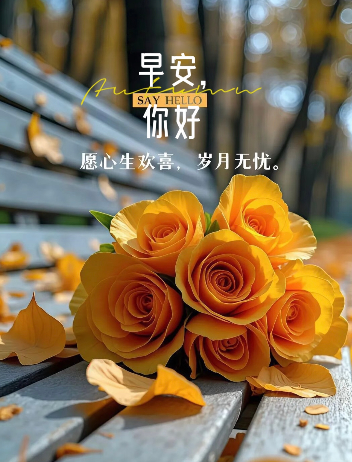 别浪费今天的开心，也别提前担忧明天的烦恼 。新一天的阳光洒下，我们要比昨天更快乐