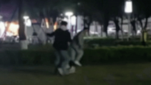 兴宁市风筝广场惊现未牵绳边牧，发生令人愤怒的一幕！

日前，据梅州网友爆料，在兴