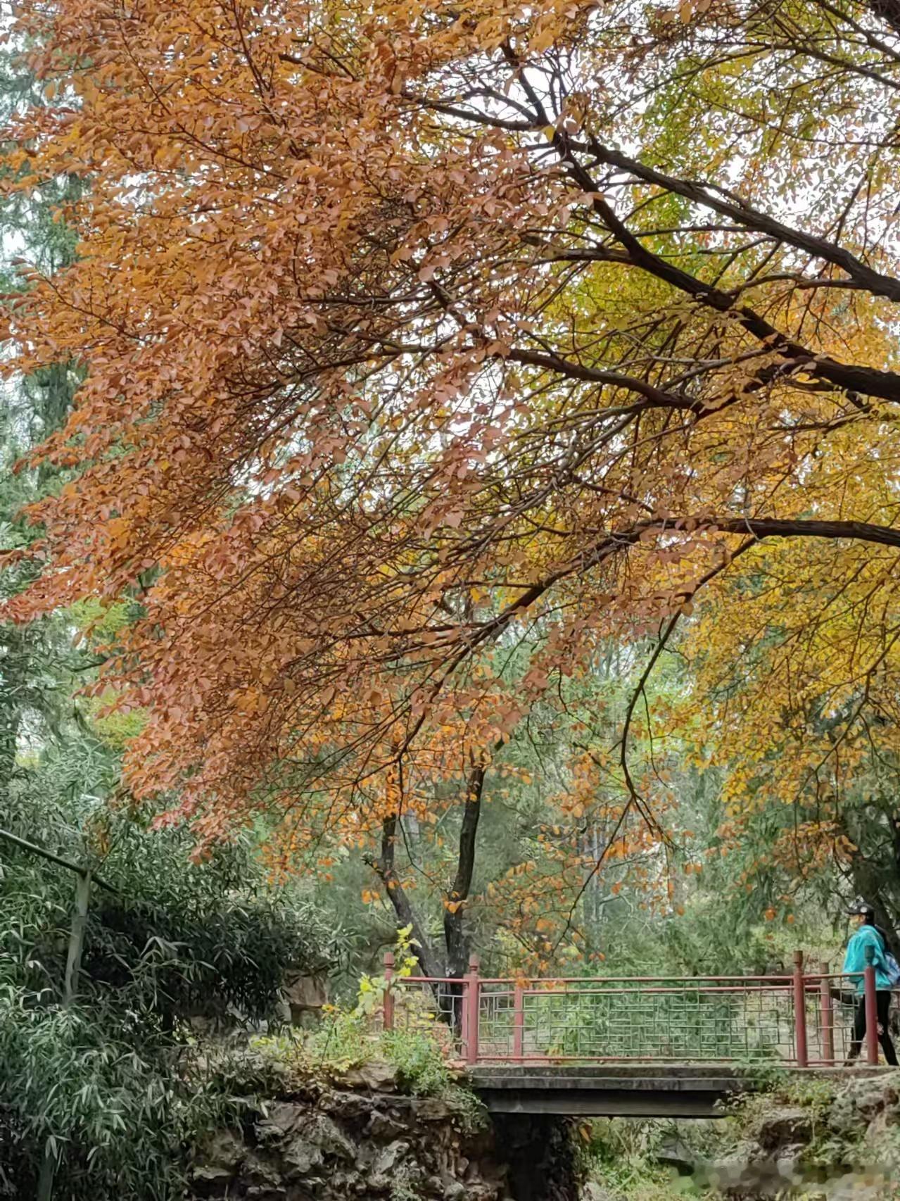 北京 颐和园后湖  摄影