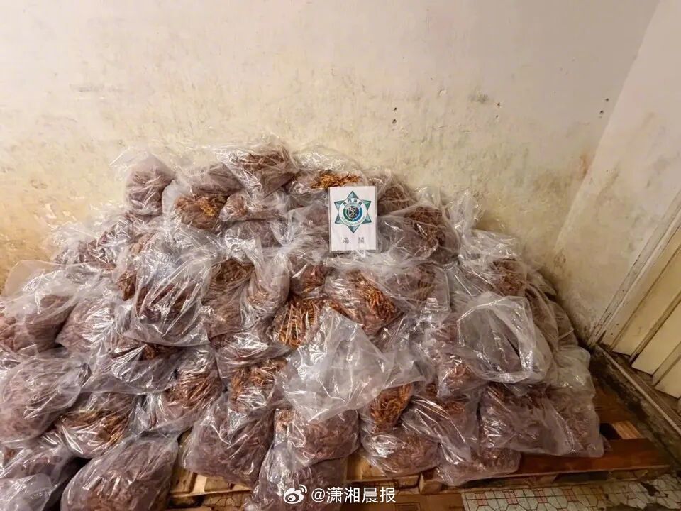 【#20岁澳门男偷运4600斤鸡爪到内地被抓#】近日，澳门海关在警察总局统筹下开