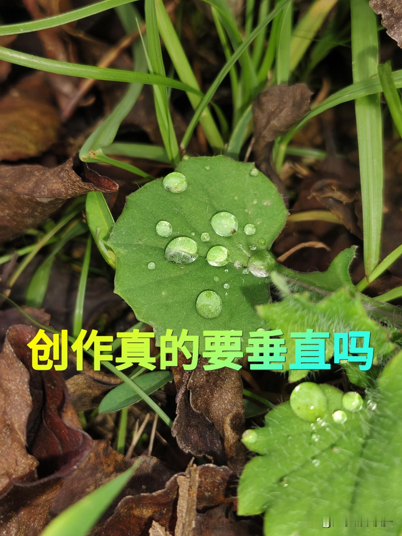 🔥过来人真心话｜做内容别再死磕领域垂直了！
 
创作一定要死守领域垂直吗？
 