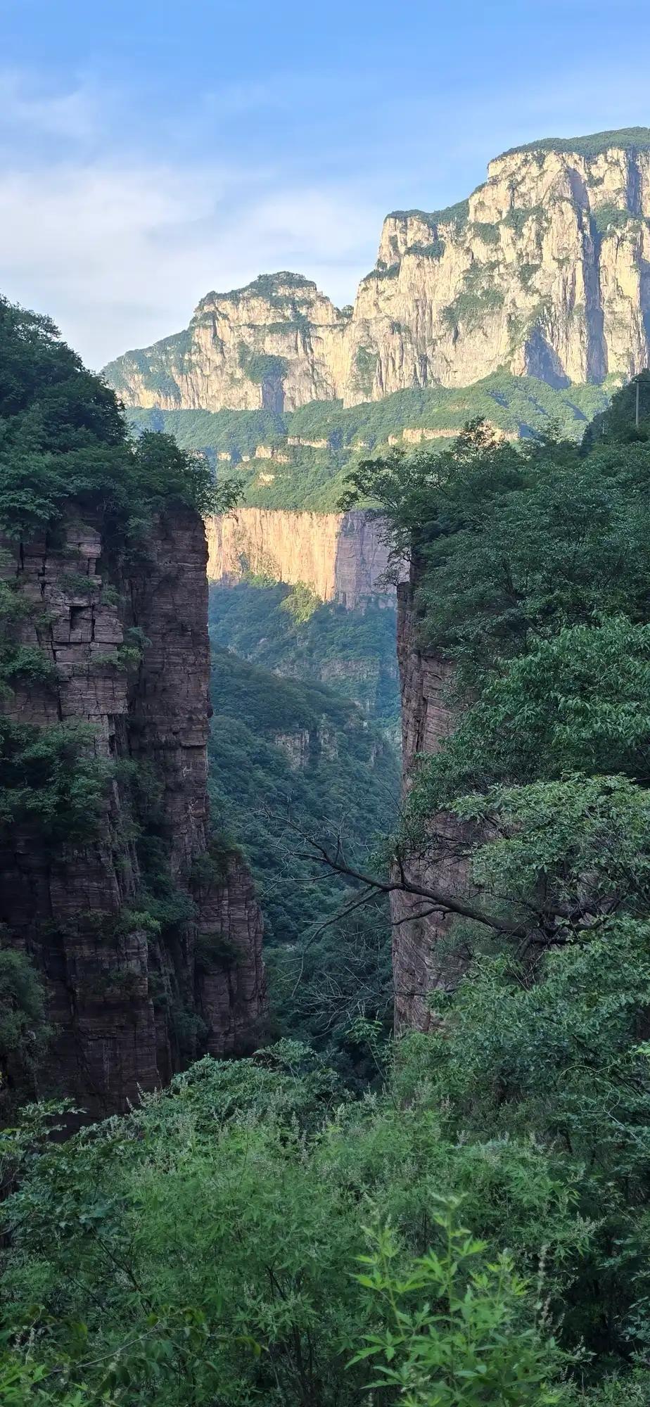 青山叠翠，清风拂面，满眼草木葱茏，云雾缭绕山间，一步一景都藏着雅致韵味。
登山不