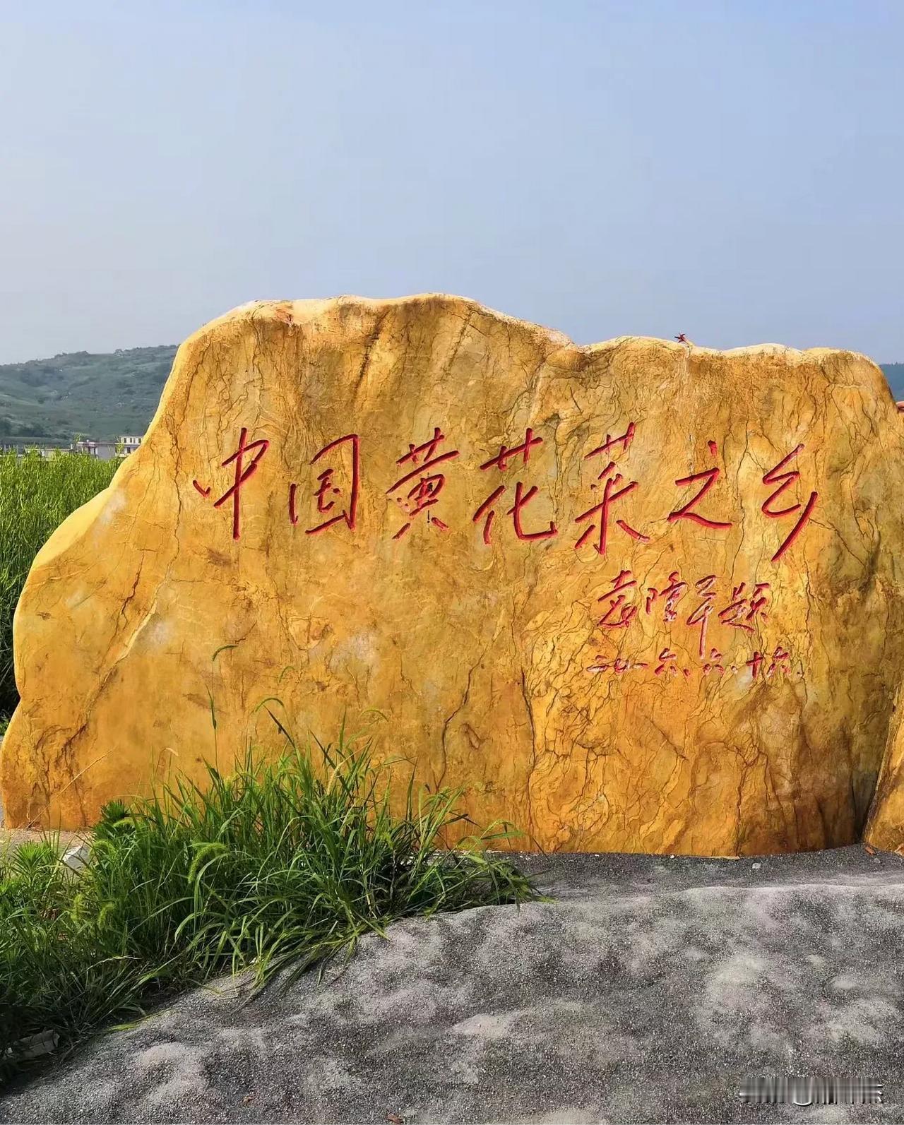 祁东黄花菜