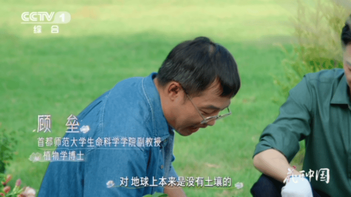 曾是光秃石球的地球，靠先锋植物代代接力，以生命为养分分解岩石、留存有机质，慢慢催