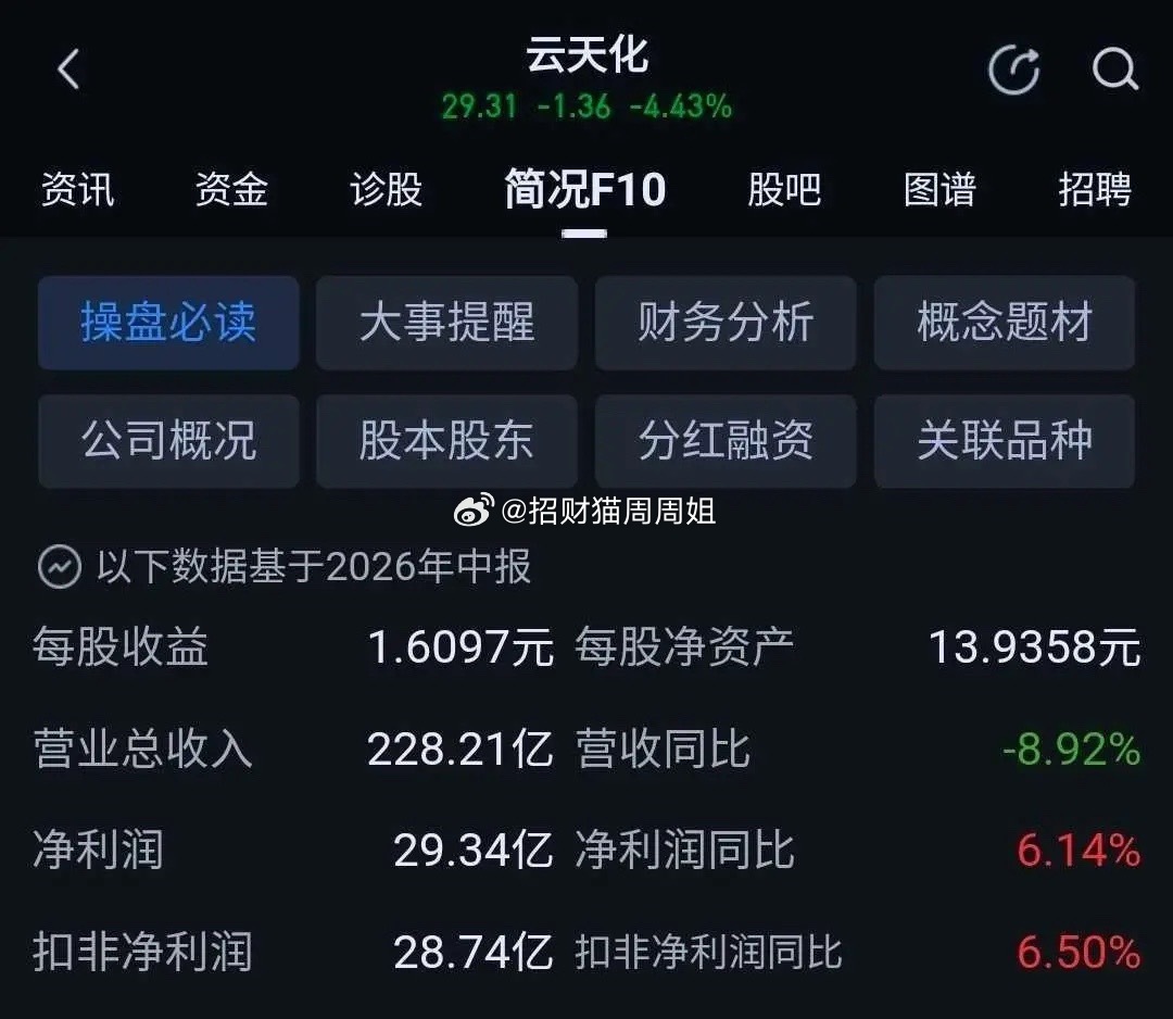 同样中期净利润接近29亿，为什么湖南裕能ROE显著高于云天化，但总市值反而更低？