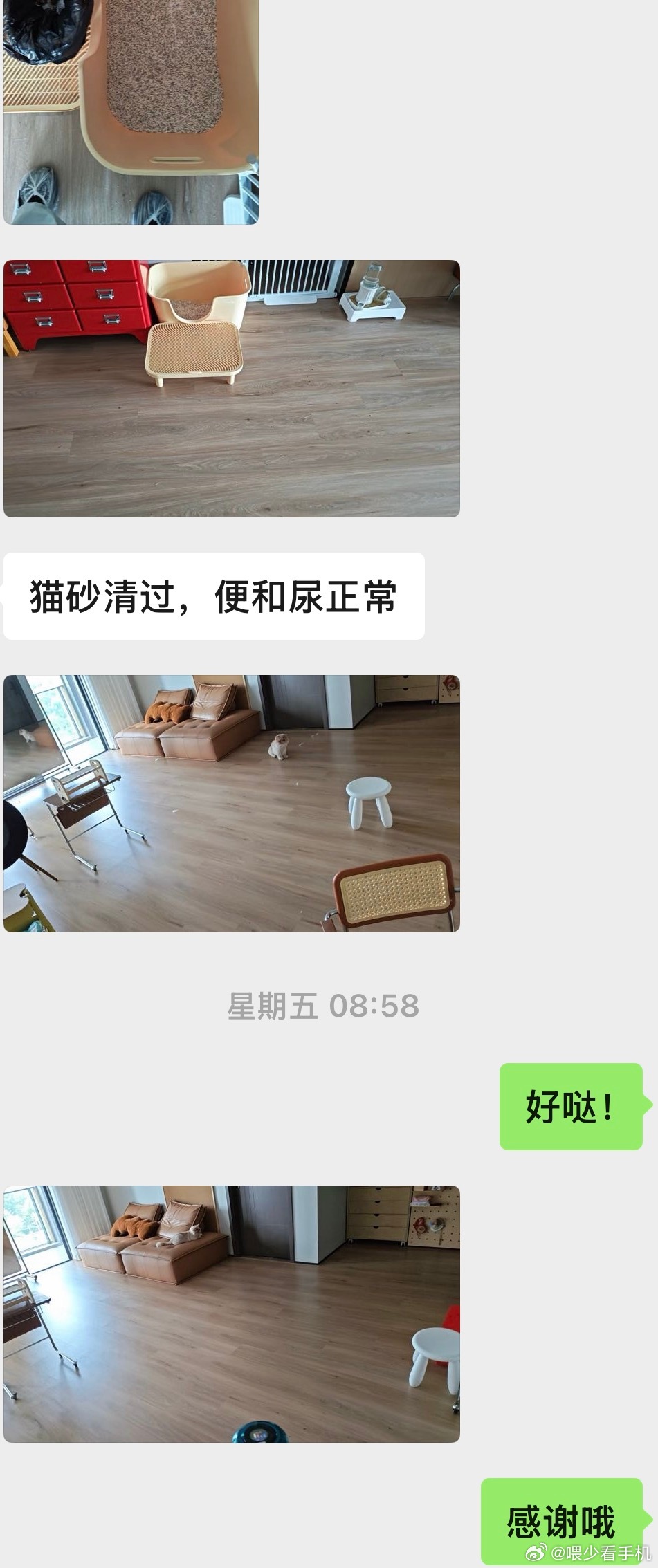 我出去玩的时候家里的猫咪都会有人上门滴大家不用担心因为数量多所以每天都要清理的