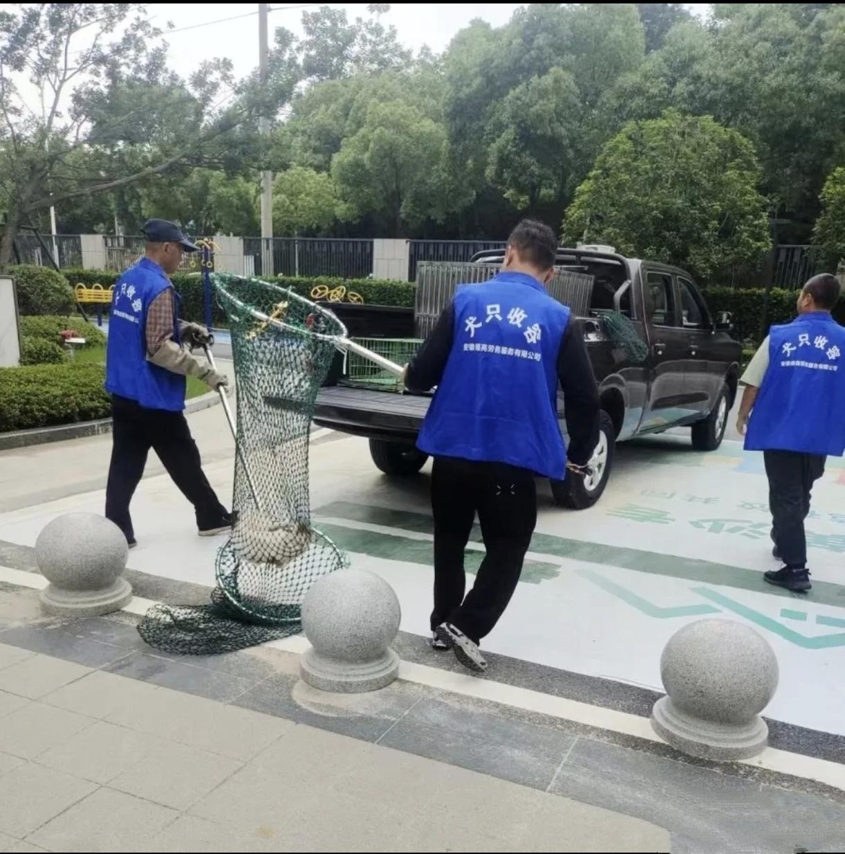 赶紧都捉了，大马路都追着电瓶车跑。不是高考才逮，要一直抓，只要不拴绳子的一律抓。