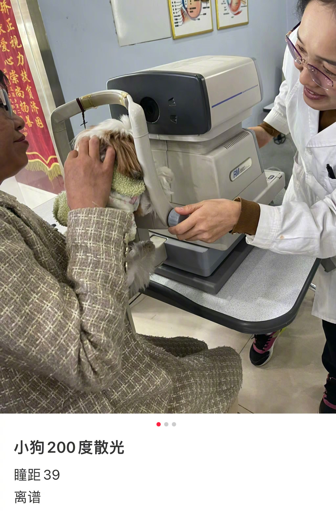 原来小狗也会近视，是不是刘海太长影响了视力哈哈哈哈哈哈哈哈哈 ​​​