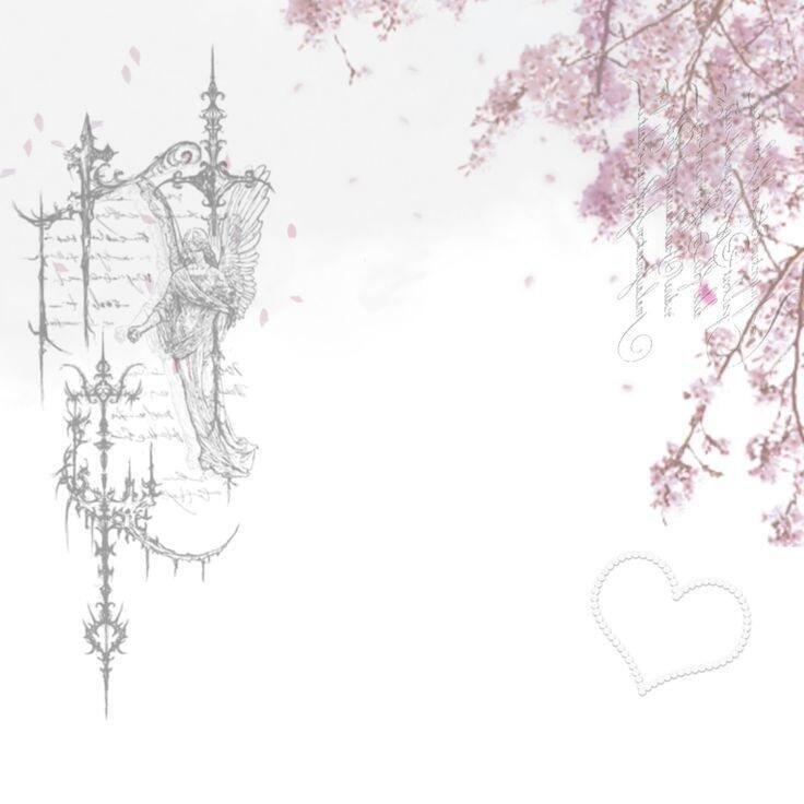 【背景图】分享‹𝟹₊˚⊹♡粉色|梦幻|优雅|精致|公主|爱心|蕾丝|高级|少女