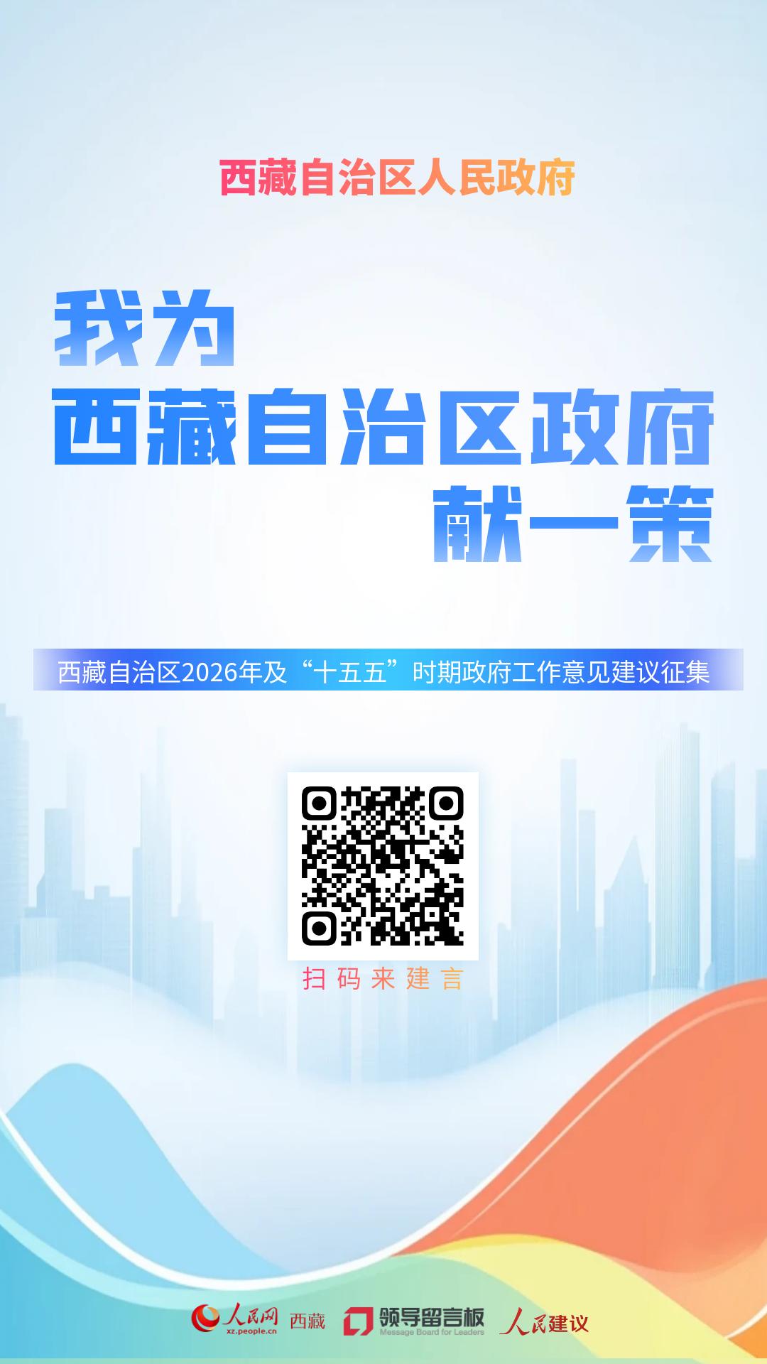 我为西藏自治区政府工作献一策