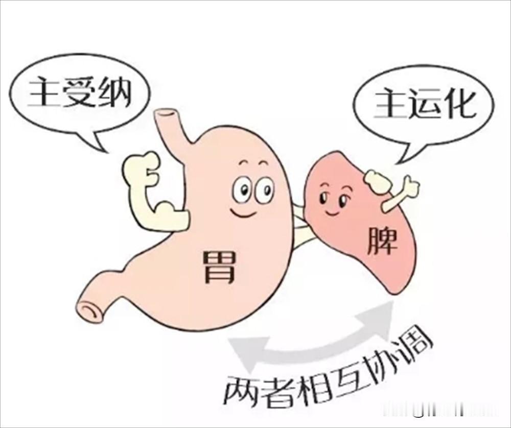 你是“脾气虚”“脾阳虚”还是“脾阴虚”？3分钟分清，6个中成药对症调理
 
脾胃