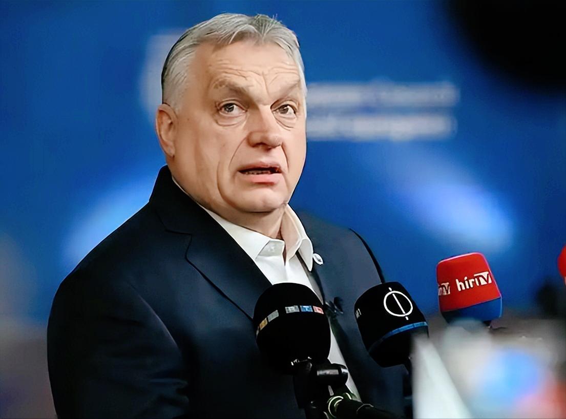 不愧是窝里横，欧盟内部居然有人敢公开唱反调，还连带着被冻结了300亿欧元，相当于