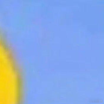 0000 