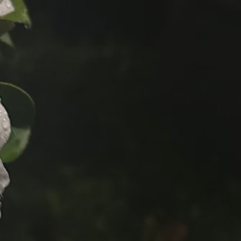 每日一善 0000每日一善 ☁️阳光信用 我们日行一善，并不是放下手中一切事情，
