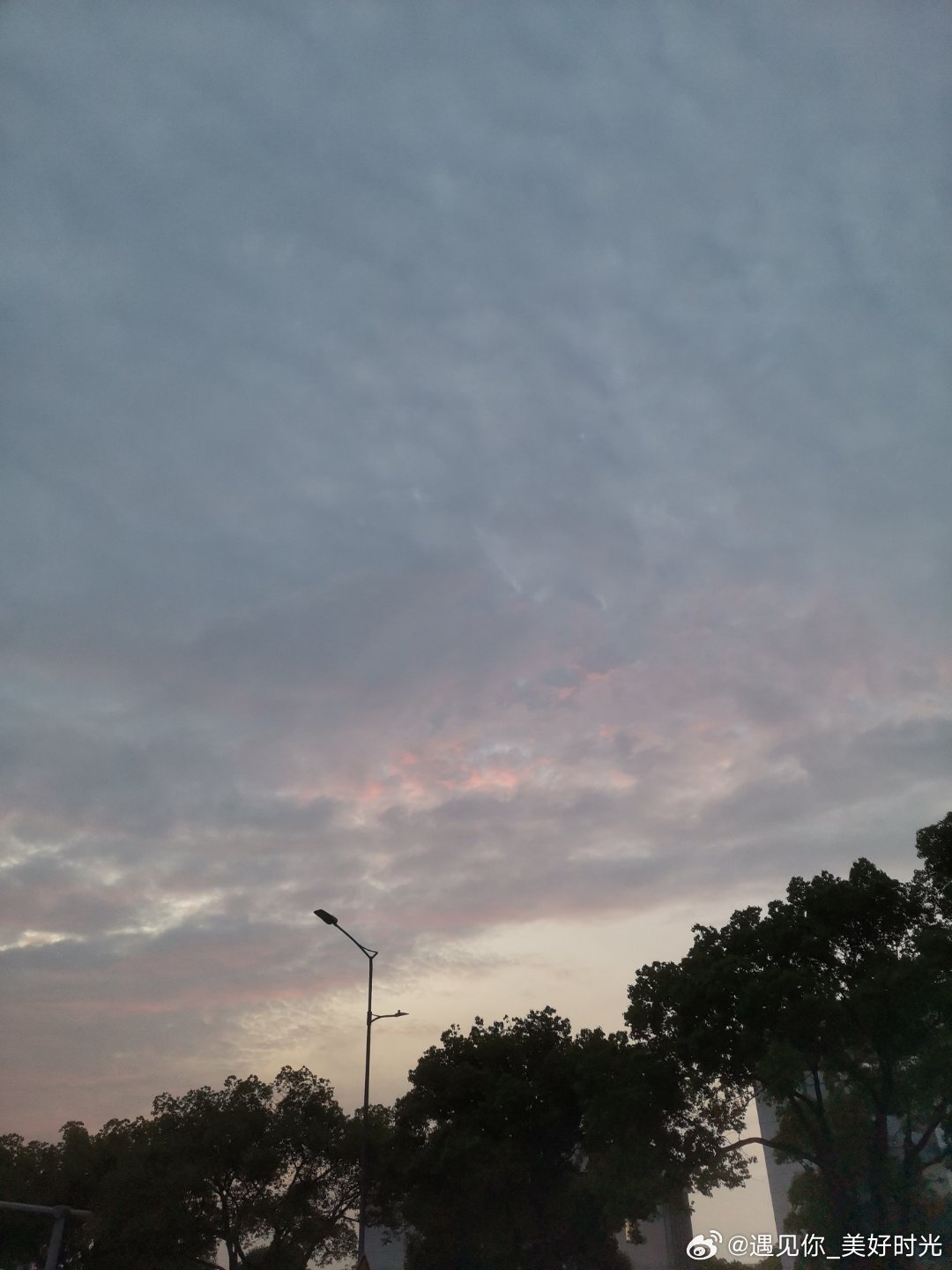 这样的天气，云朵还挺好看的 