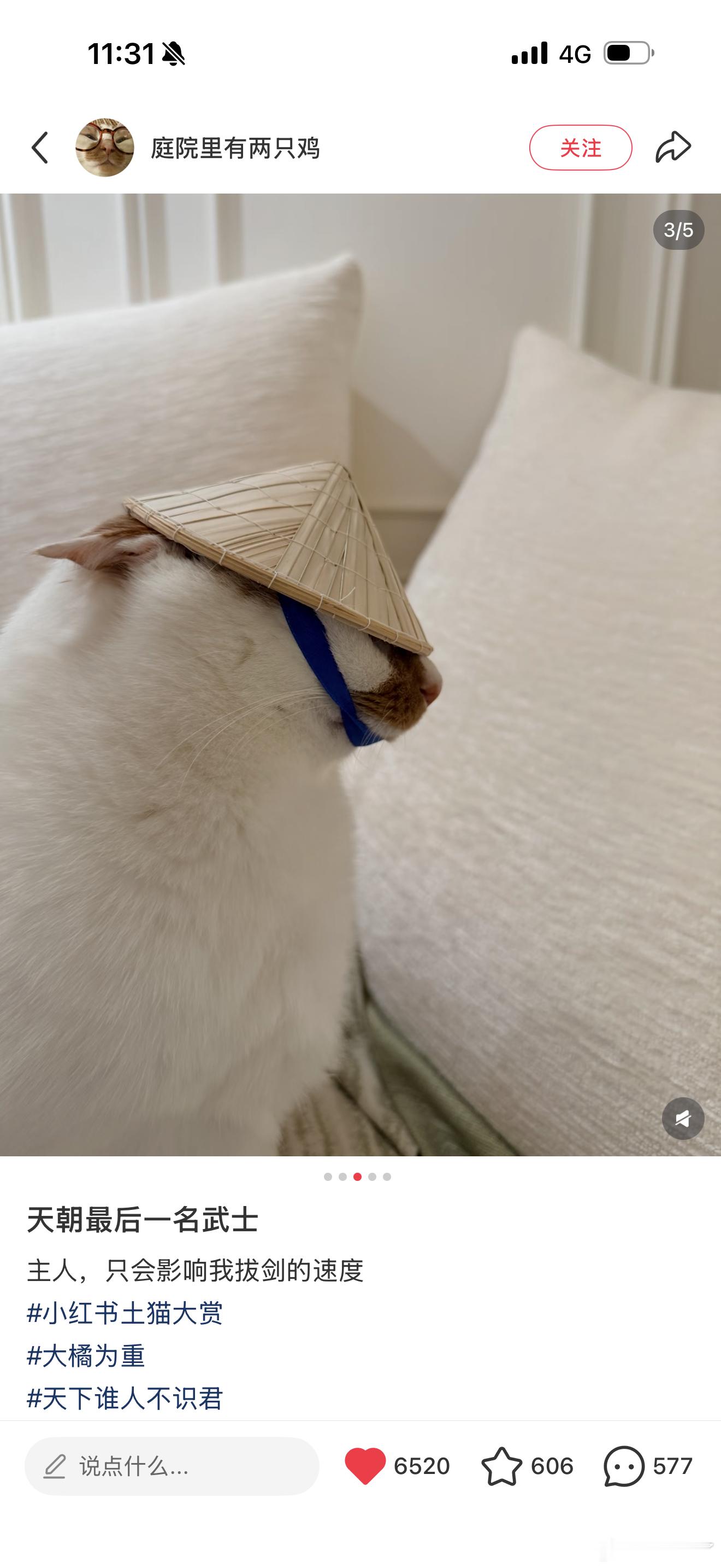 看到猫戴斗笠就笑得要死 ​​​