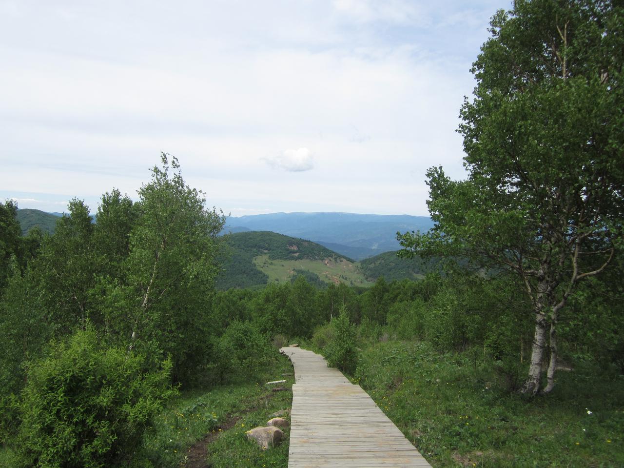 小以这是够狠的，为了把小鹰彻底拴在中东，那是真下狠手啊！波斯猫消息表示，小鹰驻大