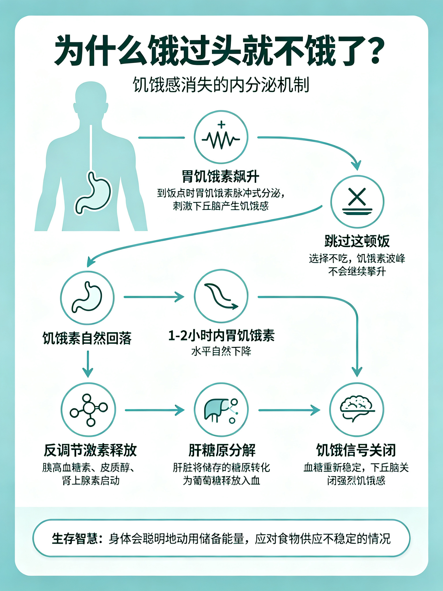 饥饿感为什么会自己消失很多人都有过“饿过劲就不饿了”的经历，其实这不是错觉，是身