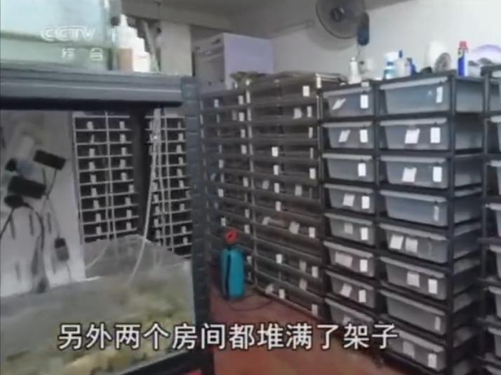 浙江台州发生一起非法饲养保护动物案件，一名独居男子在居民小区内私自饲养 300 