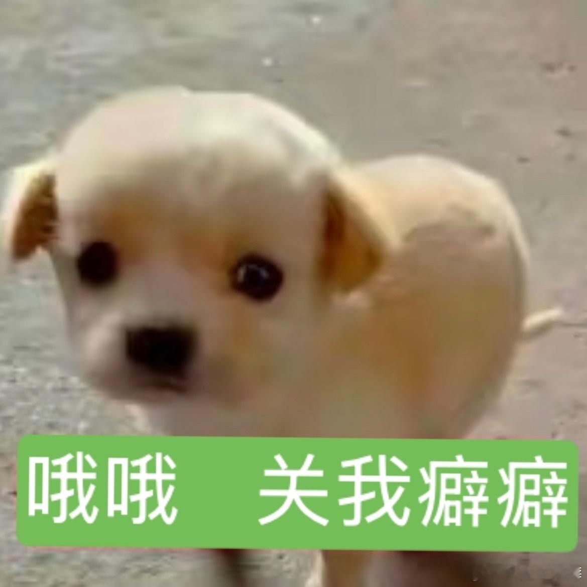 分享图片 ​​​