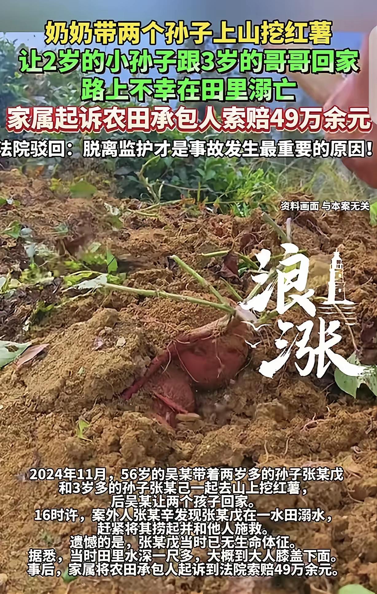 湖南山村悲剧！56岁奶奶让3岁哥哥带2岁弟弟独自回家，弟弟田埂溺亡，家属反告农田