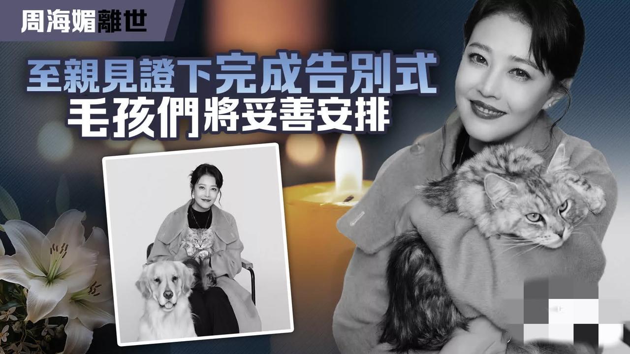 周海媚还是落叶归根了！至于她的毛孩子们也有了妥善安排！

有最新消息传出指，周海