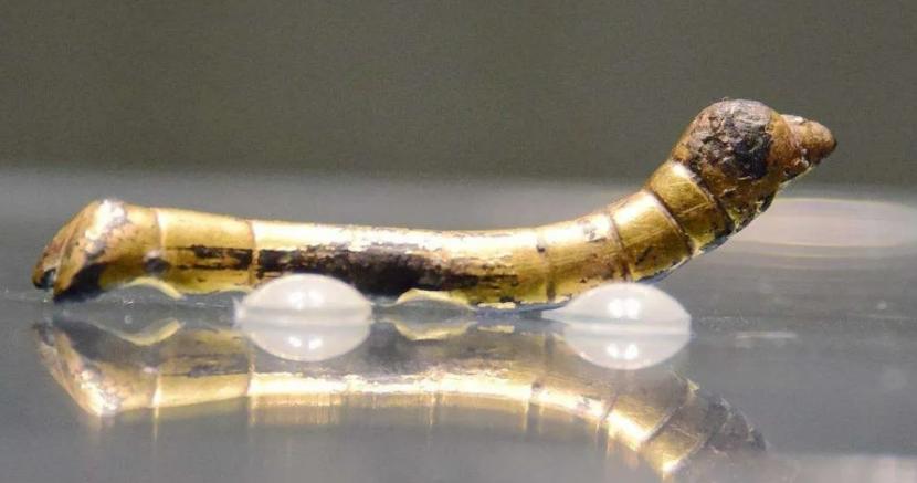 1984年陕南雨季刚过，池河河床裸露出细碎金粒，谭福全揣着竹篮，身后跟着三个半大