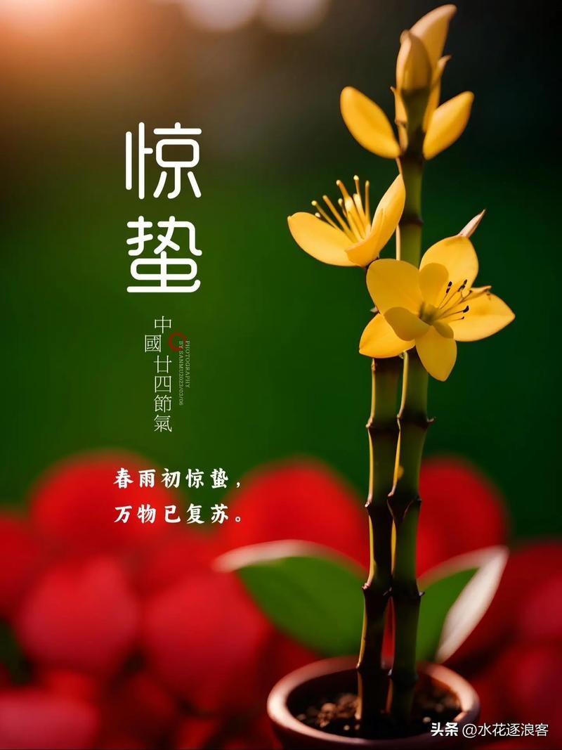 《惊蛰》
[微风][微风][微风]
此刻不宜温言
不宜纸上谈兵
看那道金光劈开南