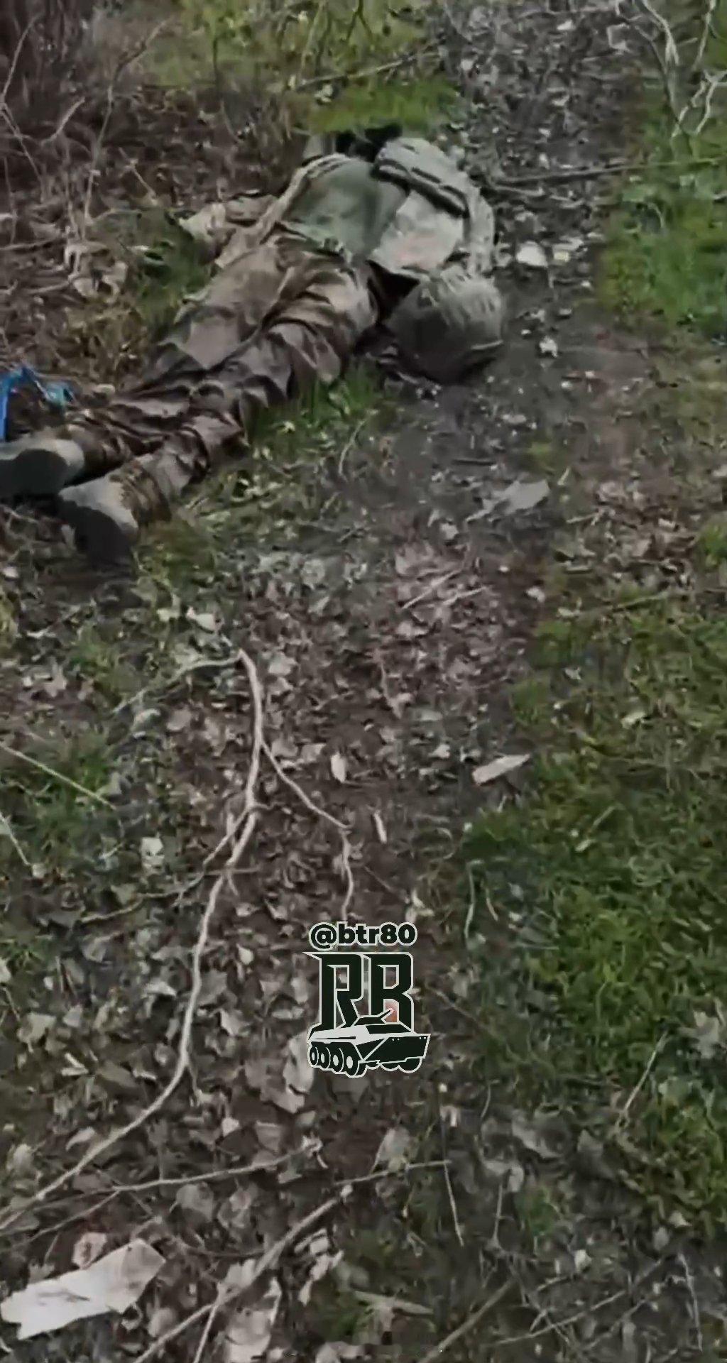 红军村方向，爱乌及乌，一批乌军又融入了乌克兰大地