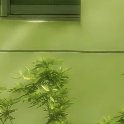 勿起不善之念,勿阅不善之书,勿听不善之乐,勿吐不善之语,勿为不善之事,勿近不善之