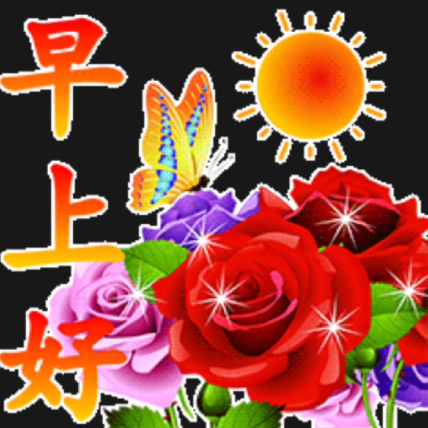 早上好🌹 