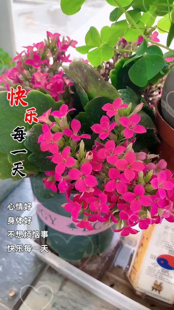 快乐每一天。
今天是四月三十日，四月最后一天，明天就是五一劳动节了。愿你四月收官