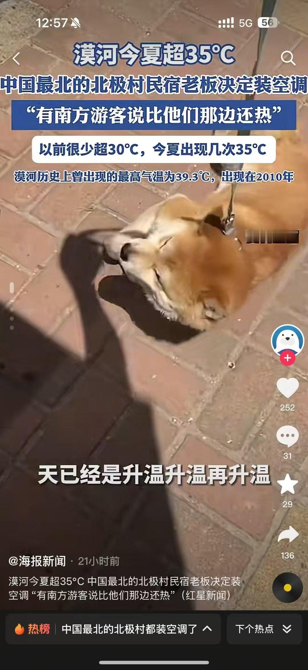 今年夏天，东北的老铁们热不？漠河都35度啦？ ​​​