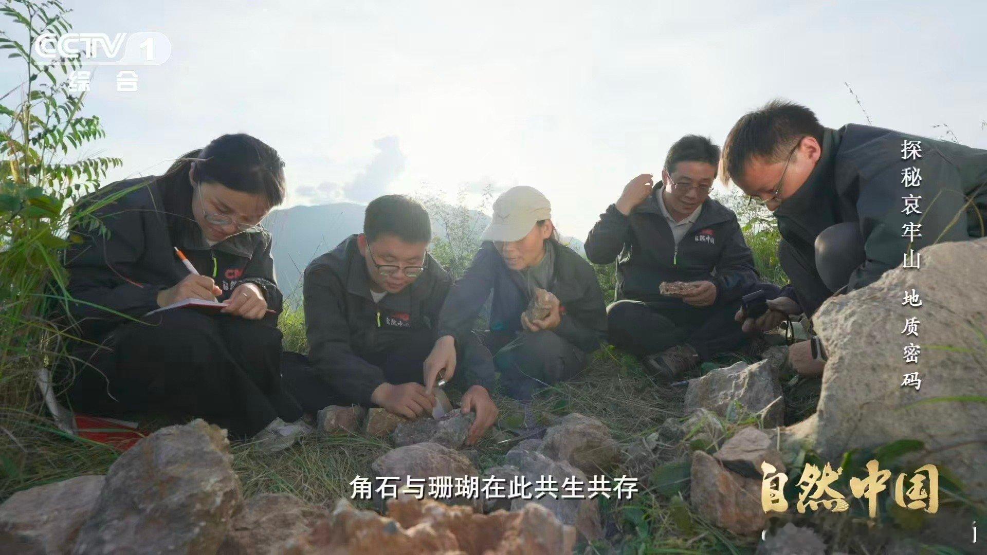 哀牢山顶惊现海底世界哀牢山顶竟藏3.75亿年前珊瑚化石 珊瑚在山巅，记忆在海底。