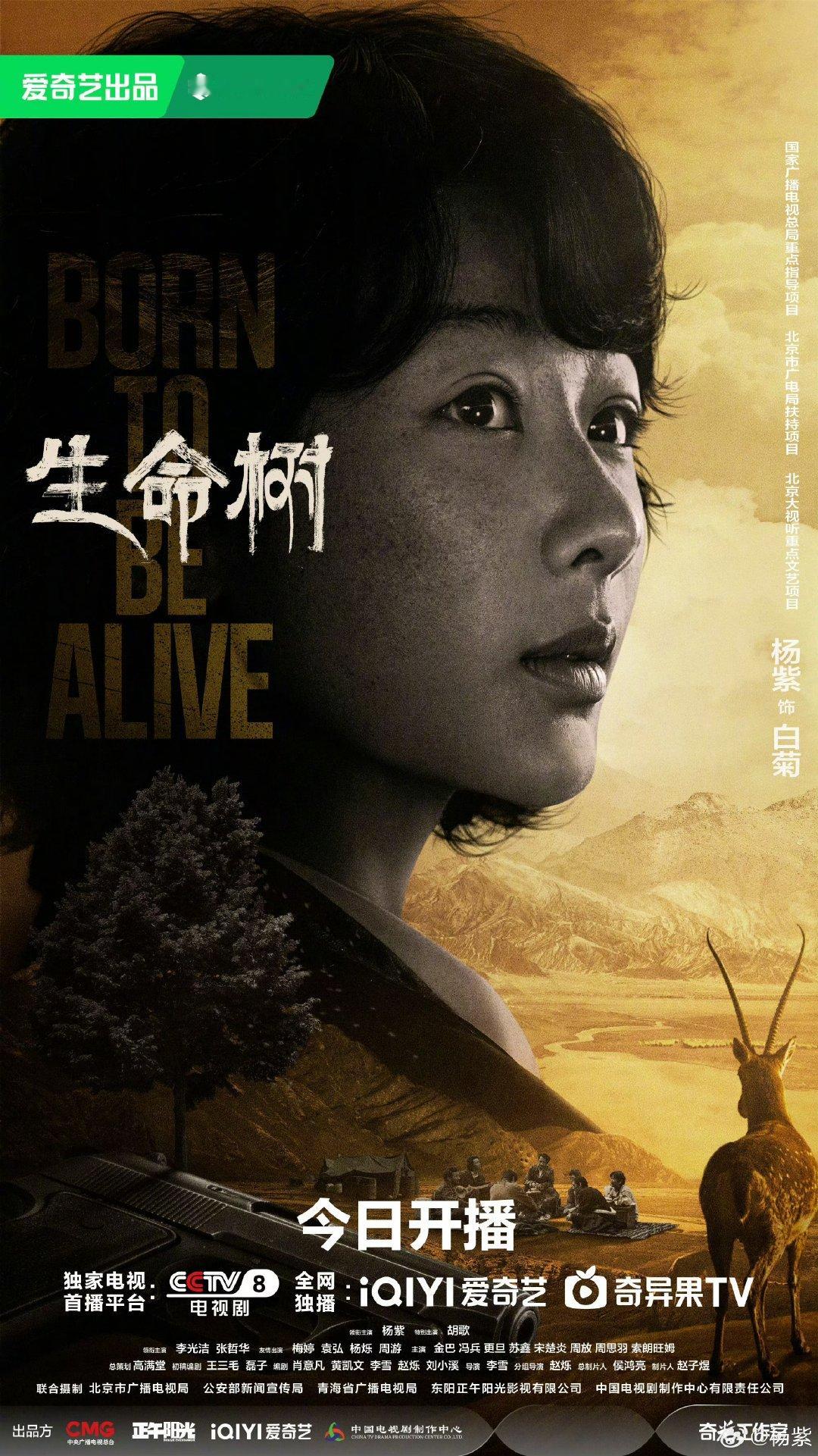 杨紫杨紫白菊从不是温室的花杨紫白菊开播海报看白菊如何长成参天大树，保卫一方水土！