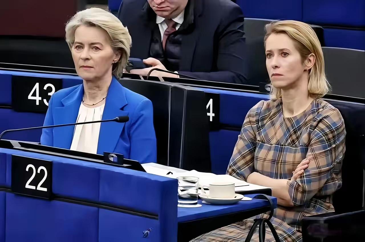 冯德莱恩被西班牙女议员怼的哑口无言。
在欧洲议会上，对于美以袭击伊朗，欧盟主席冯