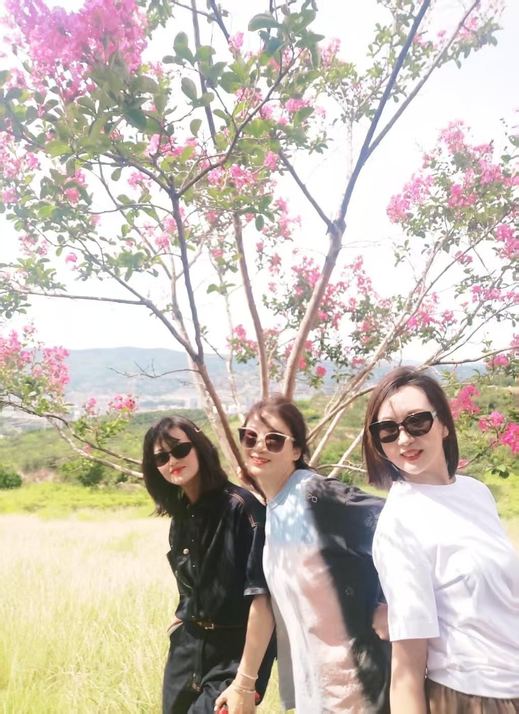 春日生活打卡季